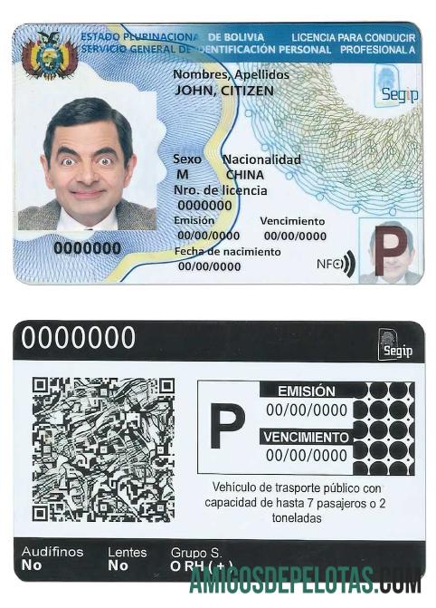 em branco Modelo de carteira de motorista da Bolívia (2017 – presente)